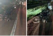 मोकाट गुराला धडकून दुचाकीस्वाराचा मृत्यू