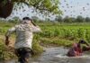 नदीकाठी फेरफटका मारण्यासाठी गेलेल्या वृद्धाचा मधमाशांच्या हल्ल्यात मृत्यू