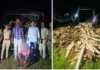 अवैध खैर वाहतूकीवर वन विभागाची कारवाई; तस्कर अटकेत